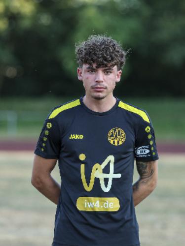 Levin Gattung