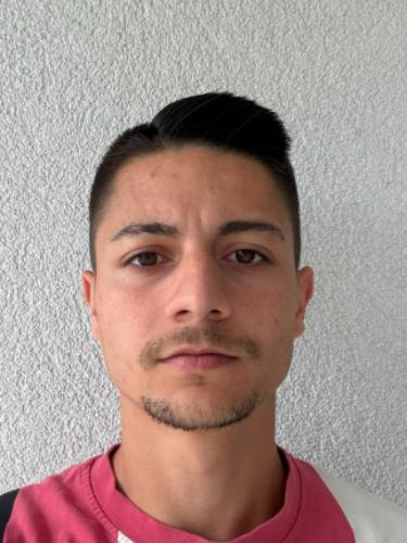 Dogan Wylezich