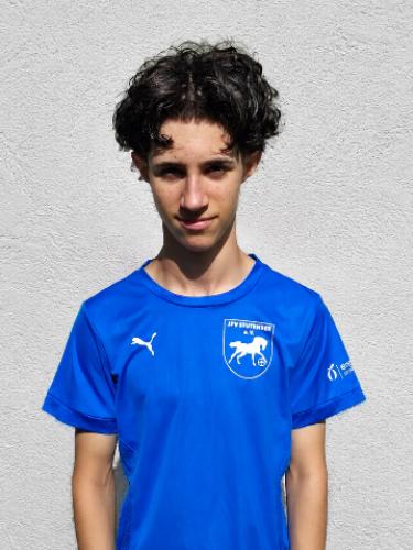 Vehbi Behrami