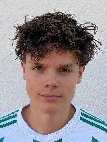 Leo Alexander Mamisch-Jocic