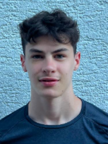 Milan Wolf