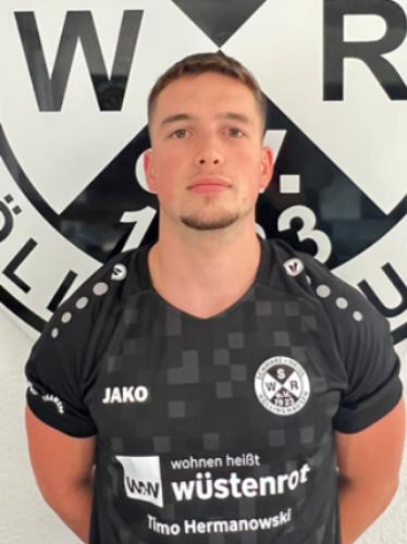 Fabian Hermann