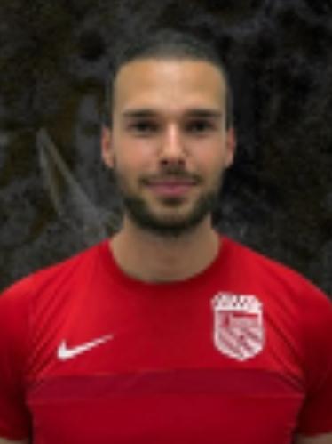 Timur Vogel