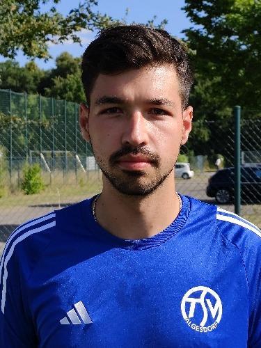 Niklas Scheibe