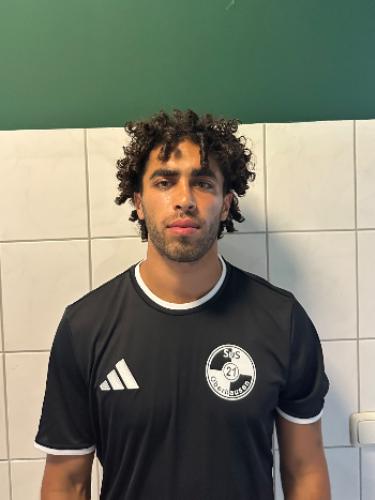 Mohammad Almahmoud Alhussain