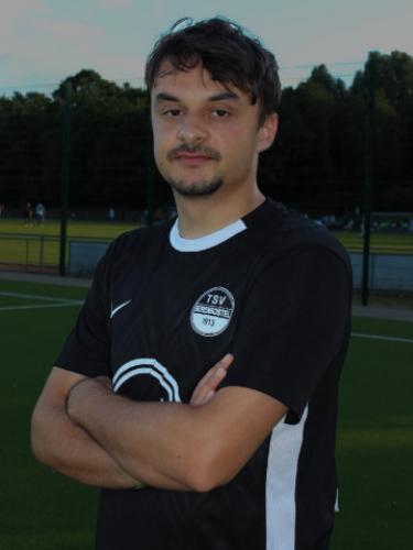 Mirza Cebic