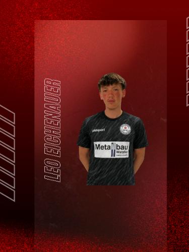 Leo Vito Eichenauer