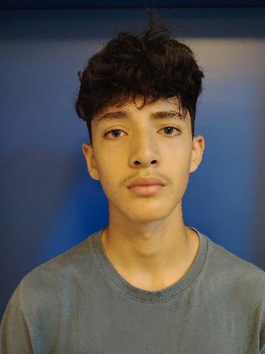 Diego Neithan Siguenza Llamas