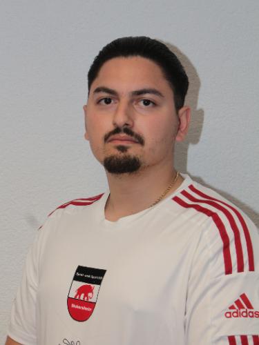 Ionut-Madalin Danaila