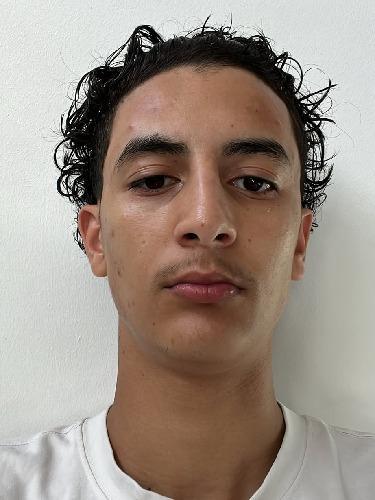Mehdi Lanjeri