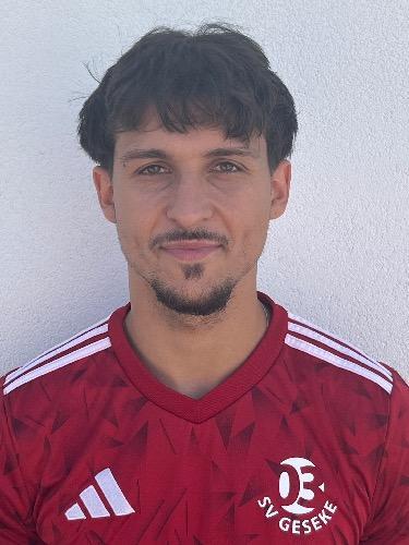 Dominik Lemowik