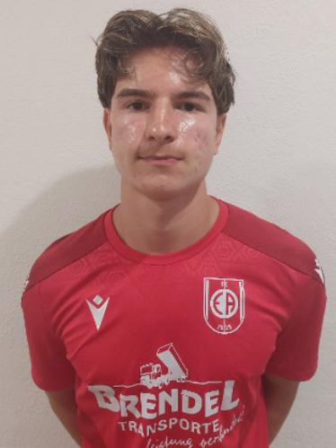 Gabriel Nicoara