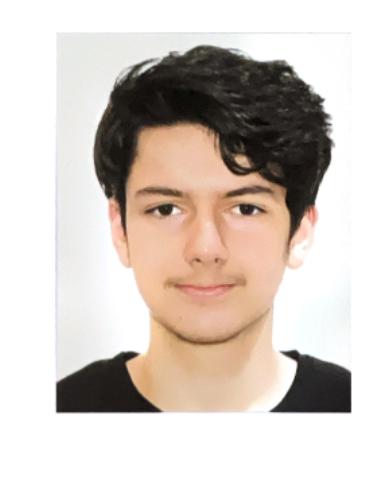 Ahmet Ali Gürsoy