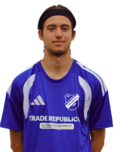 Luis Tollwerth
