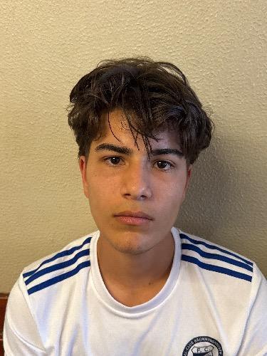 Harun Sahin