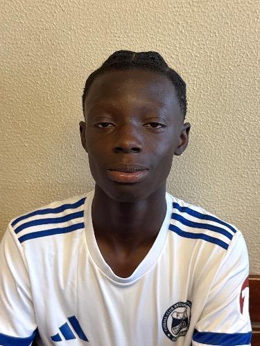 Mike Kwame Addo Fosu-Okyere