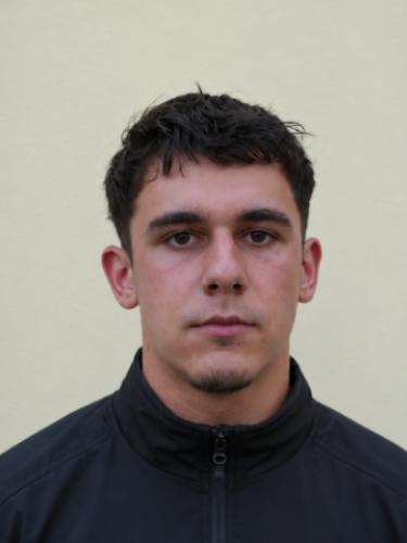 Dimo Nikolaev Demirev