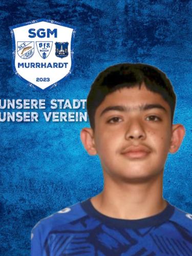 Mohsein Safizada