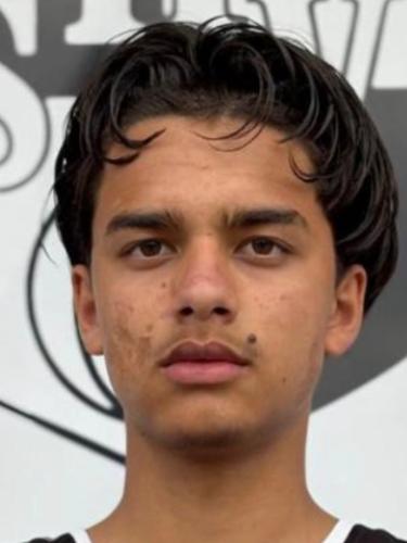 Mohammad Elham Mohammadi