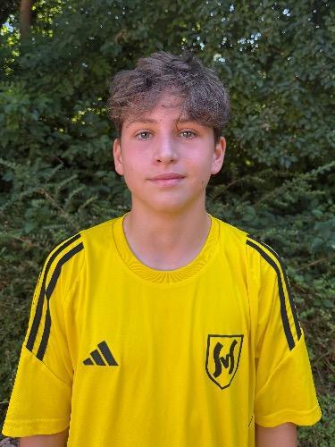 Yanis Traistaru