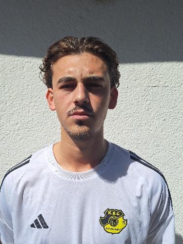 Dejan Savic