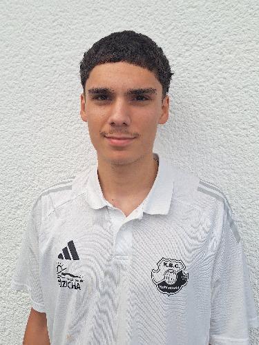 Ozgür Mahir Hatil