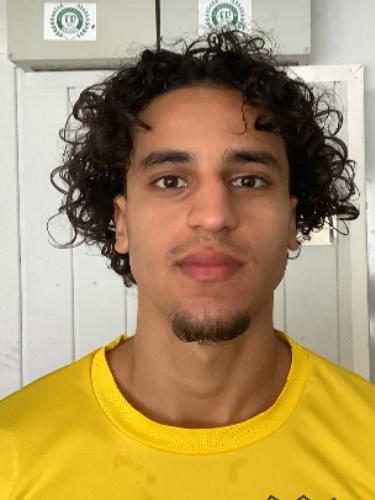 Mohamed Habib Zellat