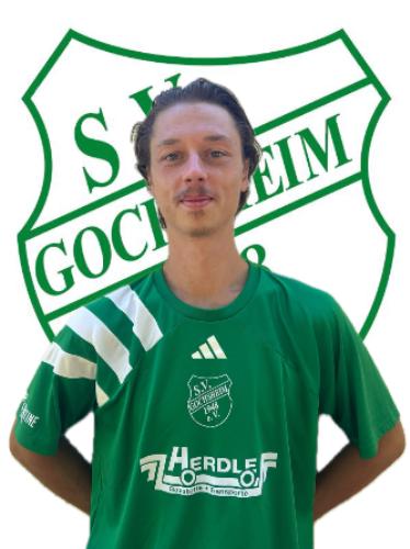 Dennis Wölfl
