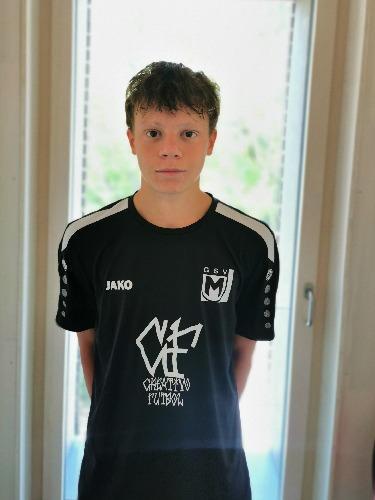 Luka Sucic