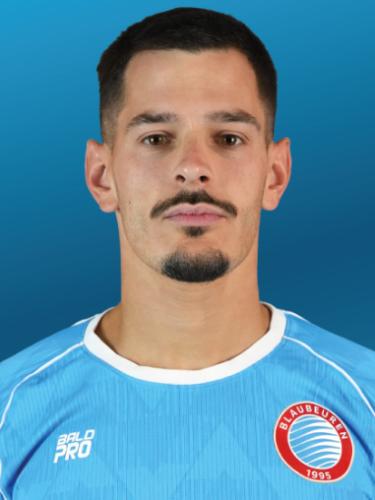Nermin Velagic