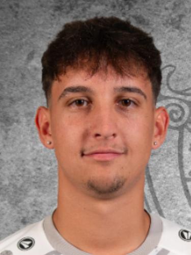 Tarik Alic