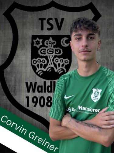 Corvin Greiner