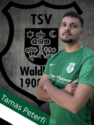 Tamas Peterfi