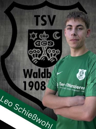 Leo Schiesswohl