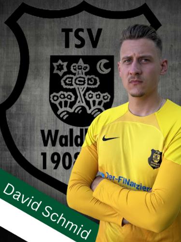 David Schmid