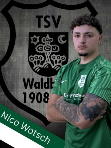 Nico Wotsch