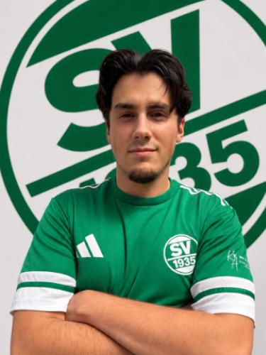 Fabio Vicenzo Lunetto