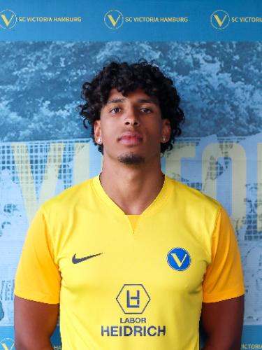 Enrique Alarcon Stark