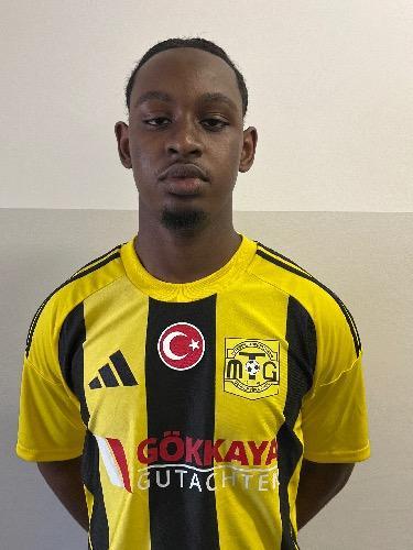 Amadou Lamarana Diallo
