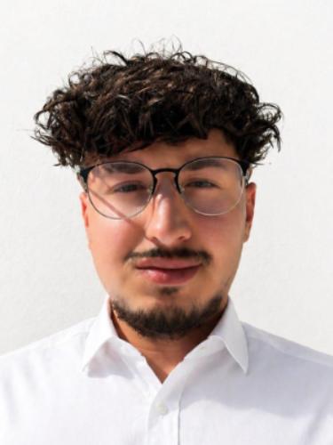 Ramez Alshareef