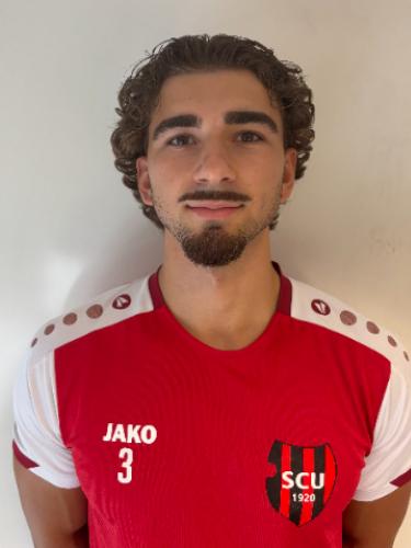 David Jan Mislovic