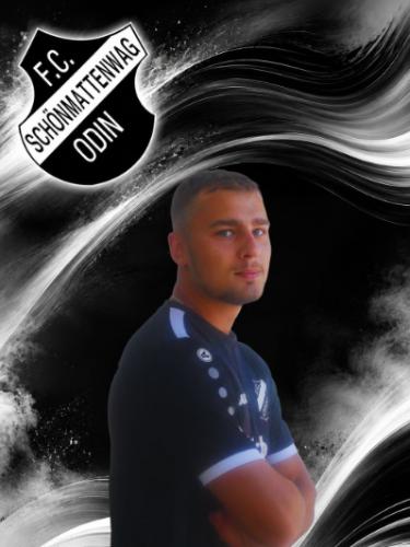 Domenic Krammer