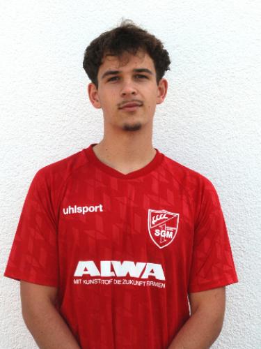 Julian Hertlein