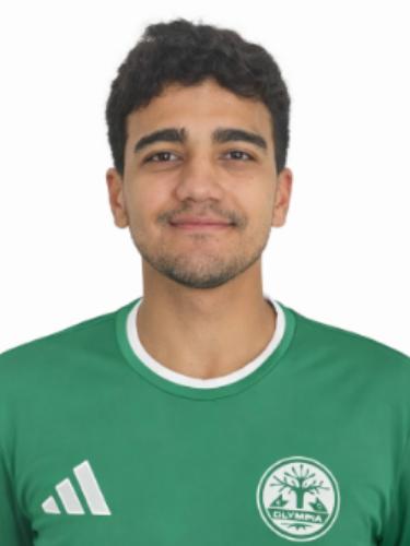 Ali Reza Arabzade