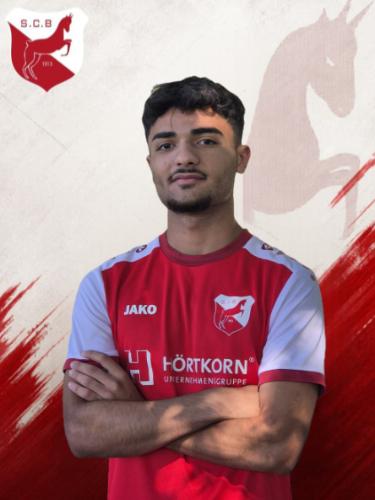 Hasan Alsaghir