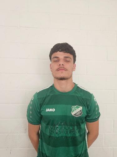 Luan Suljic
