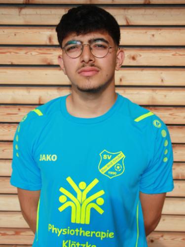 Mohamad Alsaeed