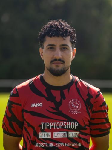 Hassan Koubaa