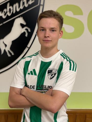 Henrik Ganze