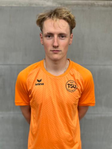 Niklas Noll